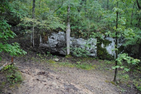 DSC_0003.jpg