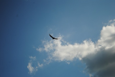 DSC_0051.jpg